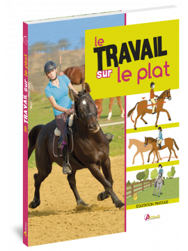 LE TRAVAIL SUR LE PLAT