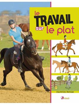 LE TRAVAIL SUR LE PLAT