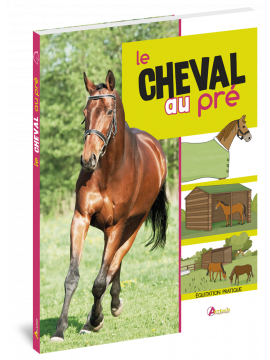 LE CHEVAL AU PRE