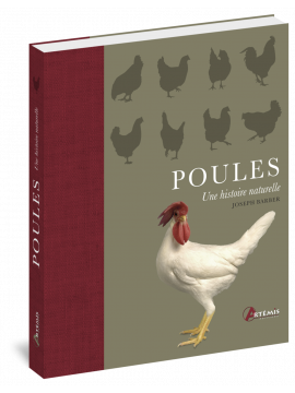 POULES - UNE HISTOIRE NATURELLE