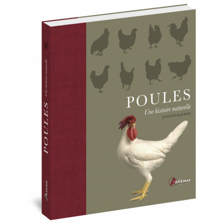 POULES - UNE HISTOIRE NATURELLE