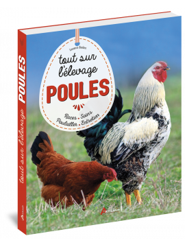 POULES TOUT SUR L'ELEVAGE