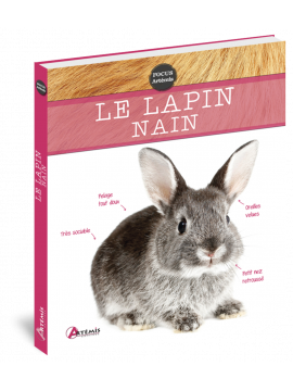 LE LAPIN NAIN