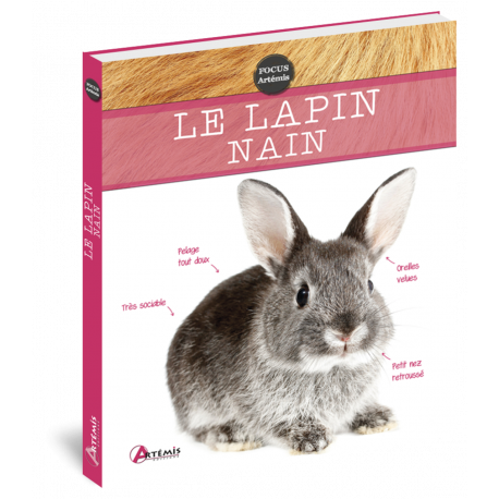 LE LAPIN NAIN