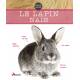 LE LAPIN NAIN