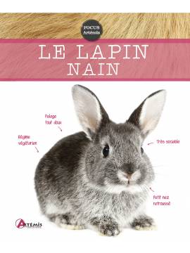 LE LAPIN NAIN