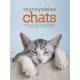 INCROYABLES CHATS