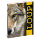 LE LOUP