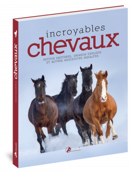 INCROYABLES CHEVAUX