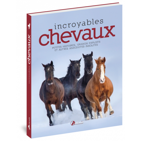 INCROYABLES CHEVAUX