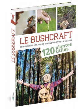 LE BUSHCRAFT LES BIENFAITS DES PLANTES SAUVAGES