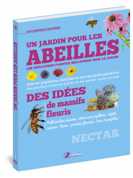 UN JARDIN POUR LES ABEILLES DES IDEES DE MASSIFS FLEURIS