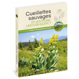 CUEILLETTES SAUVAGES EN AUVERGNE LIMOUSIN QUERCY