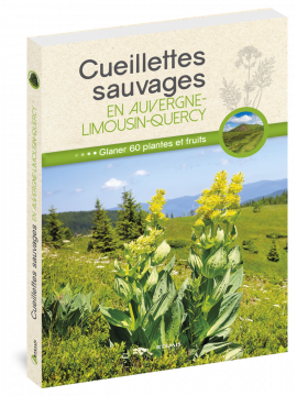 CUEILLETTES SAUVAGES EN AUVERGNE LIMOUSIN QUERCY