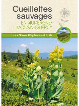 CUEILLETTES SAUVAGES EN AUVERGNE LIMOUSIN QUERCY