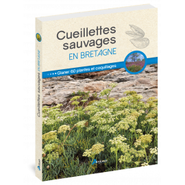 CUEILLETTES SAUVAGES EN BRETAGNE