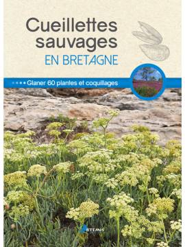 CUEILLETTES SAUVAGES EN BRETAGNE