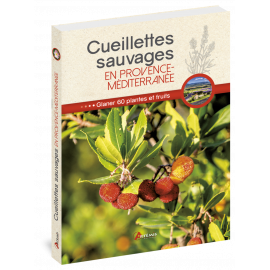 CUEILLETTES SAUVAGES EN PROVENCE MEDITERRANEE