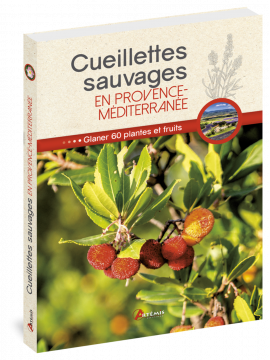 CUEILLETTES SAUVAGES EN PROVENCE MEDITERRANEE