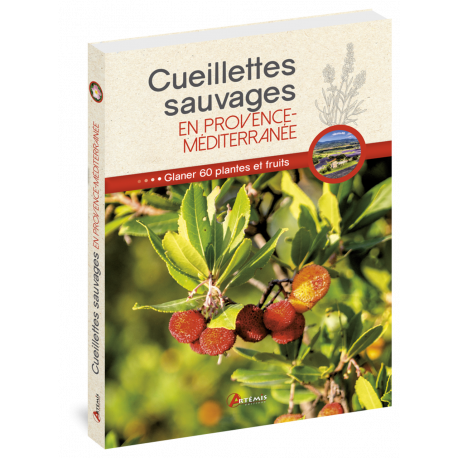 CUEILLETTES SAUVAGES EN PROVENCE MEDITERRANEE