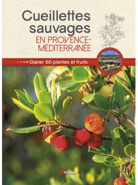 CUEILLETTES SAUVAGES EN PROVENCE MEDITERRANEE