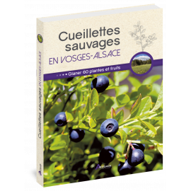 CUEILLETTES SAUVAGES EN VOSGES ALSACE