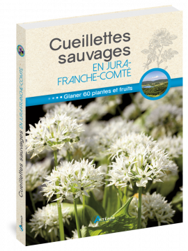 CUEILLETTES SAUVAGES EN JURA FRANCHE COMTE