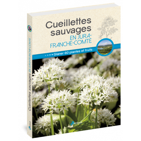 CUEILLETTES SAUVAGES EN JURA FRANCHE COMTE