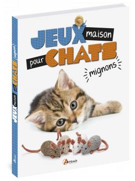 JEUX MAISON POUR CHATS MIGNONS