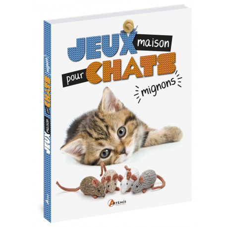 JEUX MAISON POUR CHATS MIGNONS