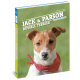 JACK ET LE PARSON RUSSELL TERRIER