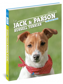 JACK ET LE PARSON RUSSELL TERRIER