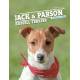 JACK ET LE PARSON RUSSELL TERRIER