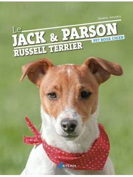 JACK ET LE PARSON RUSSELL TERRIER