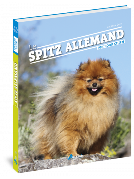 SPITZ ALLEMAND