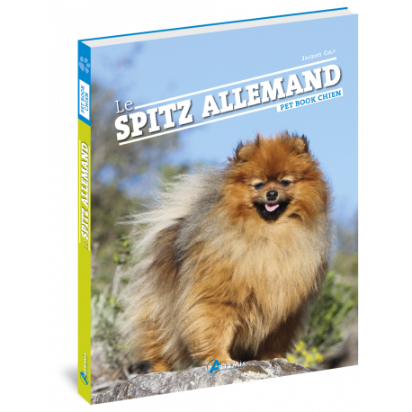 SPITZ ALLEMAND