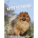 SPITZ ALLEMAND