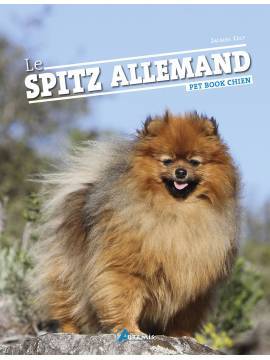 SPITZ ALLEMAND