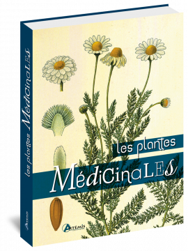 LES PLANTES MEDICINALES