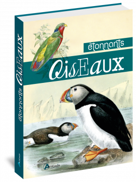 ETONNANTS OISEAUX