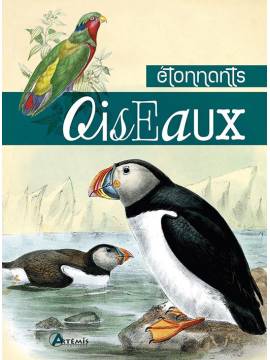 ETONNANTS OISEAUX