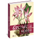 ORCHIDEES ROSES ET AUTRES FLEURS FASCINANTES