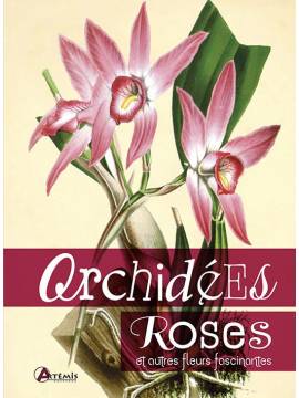 ORCHIDEES ROSES ET AUTRES FLEURS FASCINANTES