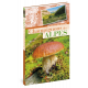 CHAMPIGNONS DES ALPES