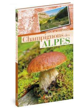 CHAMPIGNONS DES ALPES