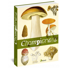 CHAMPIGNONS