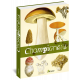 CHAMPIGNONS