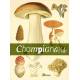 CHAMPIGNONS