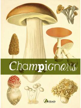 CHAMPIGNONS