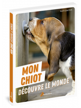 MON CHIOT DECOUVRE LE MONDE